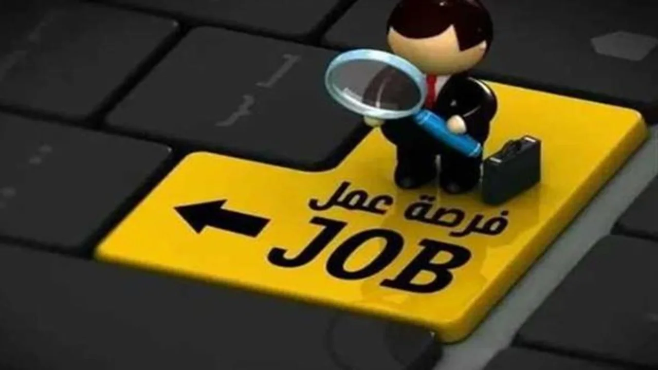 3068 فرصة عمل جديدة.. وظائف مجزية من وزارة العمل